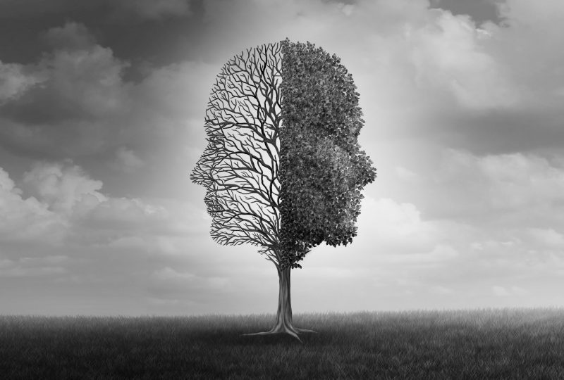 Emotional disorder and human emotion or mood problem as a tree shaped as two human faces with one half empty branches and the opposite side full of leaves as a medical metaphor for psychological with 3D elements.